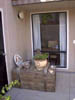 05-in-front-window